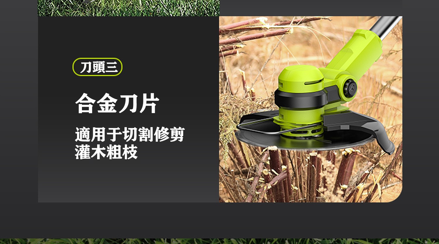 1687247118717295.jpg 10036.jpg