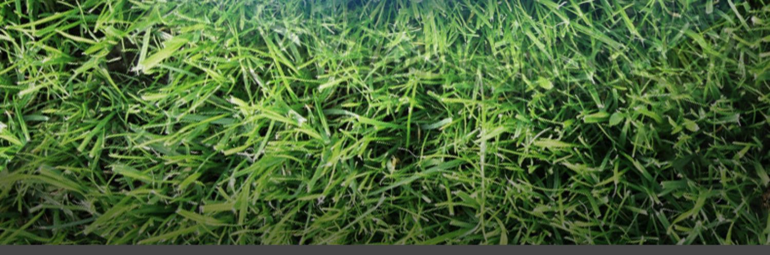 1687247149508632.jpg 10038.jpg