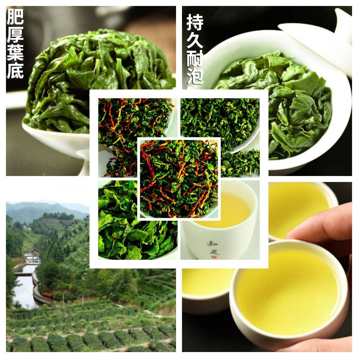 【特級紅芯歪尾鐵觀音】新茶鐵觀音毛茶帶梗蘭花香， 老師傅手作 優選精品，味道濃香！【購買1000g及以上即送新茶250g】